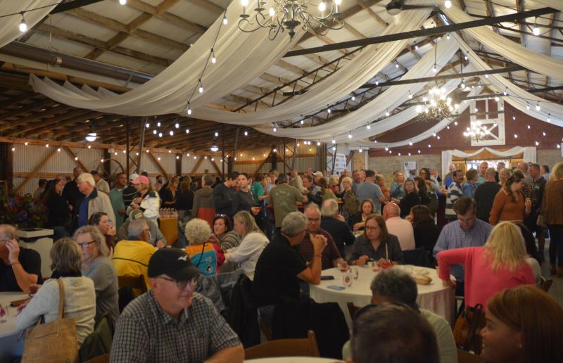 Southern Delaware Food, Wine and Music Festival draws large crowd